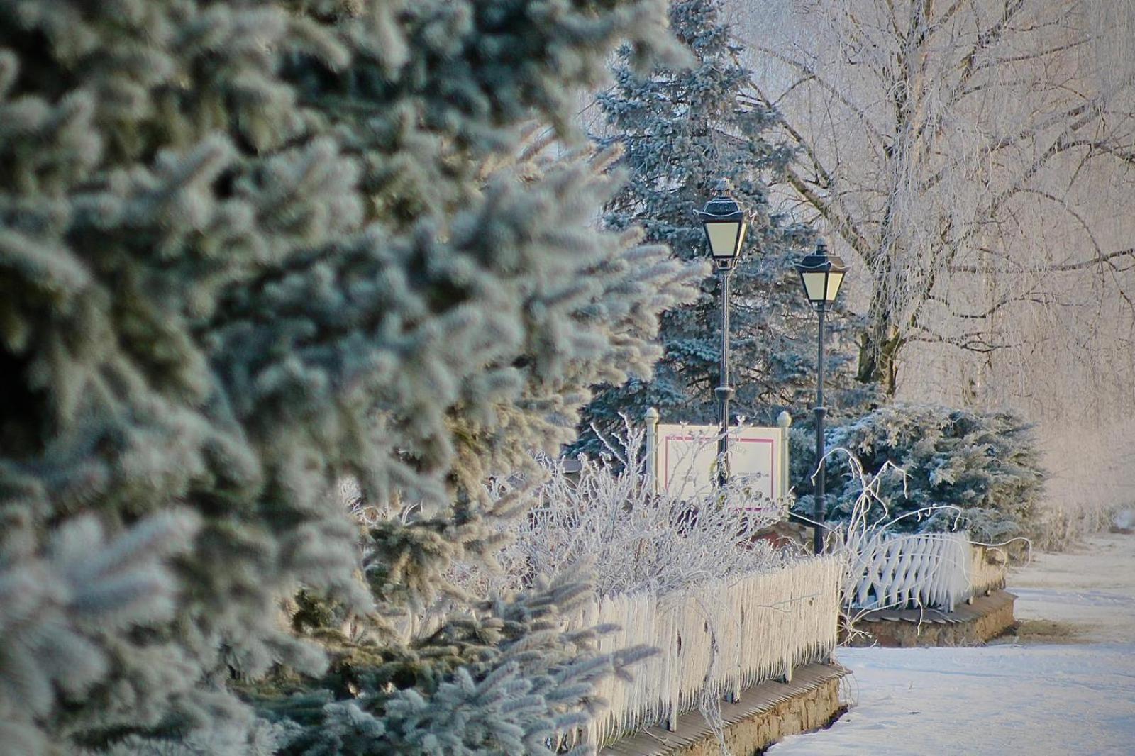 Zielone Zacisze Bed and Breakfast Murzynowo Kościelne Εξωτερικό φωτογραφία