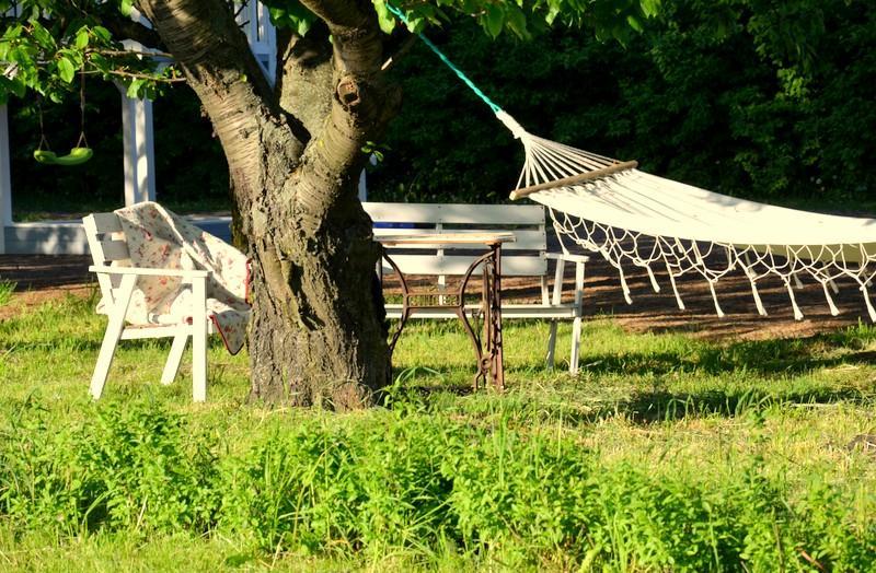 Zielone Zacisze Bed and Breakfast Murzynowo Kościelne Εξωτερικό φωτογραφία
