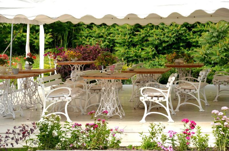 Zielone Zacisze Bed and Breakfast Murzynowo Kościelne Εξωτερικό φωτογραφία