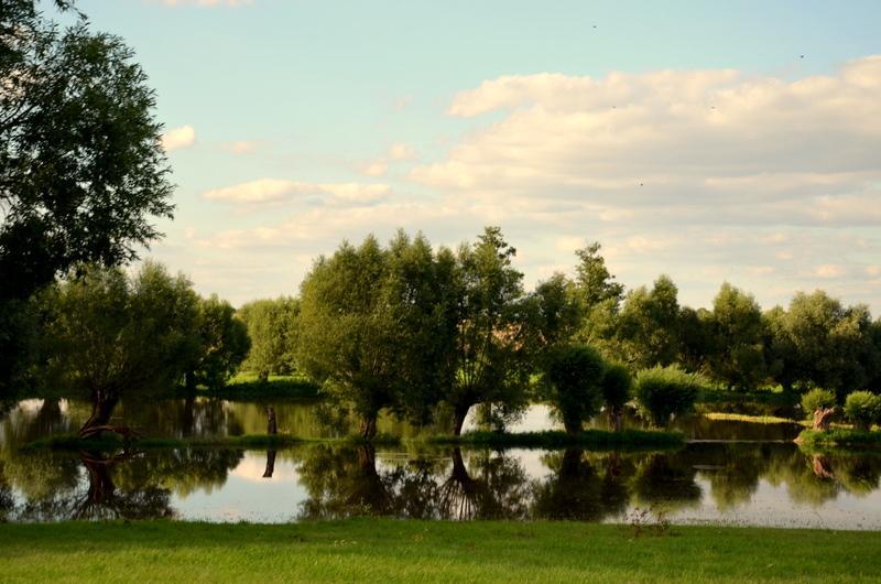 Zielone Zacisze Bed and Breakfast Murzynowo Kościelne Εξωτερικό φωτογραφία